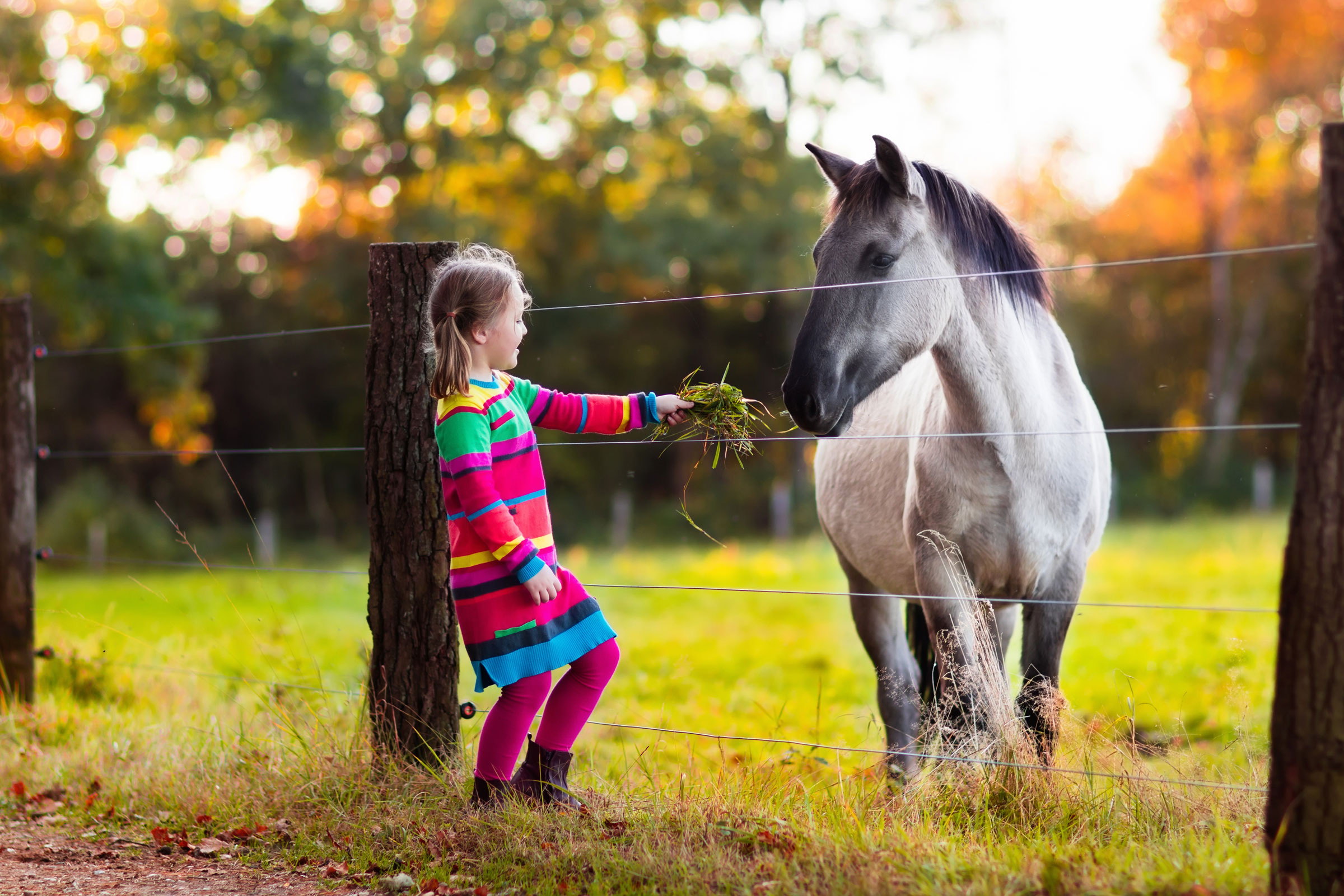 Kid with Horse
