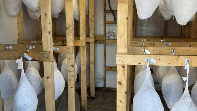 Country Hams in Ham House